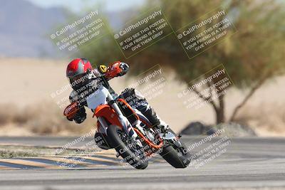 media/Oct-13-2025-Moto Forza (Mon) [[a66d839500]]/3-B Group/Session 4 Turn 4 Tree of Life/